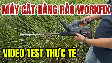 Máy Cắt Tỉa Hàng Rào WORKFIX Lưỡi Dài 54cm Hàng Chính Hãng Lõi Đồng Không Chổi Than Cao Cấp