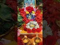 sivaya emotional song #bhakti shorts#lalitha devi chitrakonda