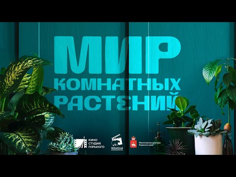 Научно-популярный сериал "Мир комнатных растений" (2 серия)