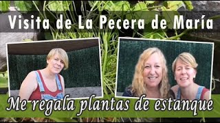 Me regala plantas de Estanque  ¡Visita de La Pecera de Maria!