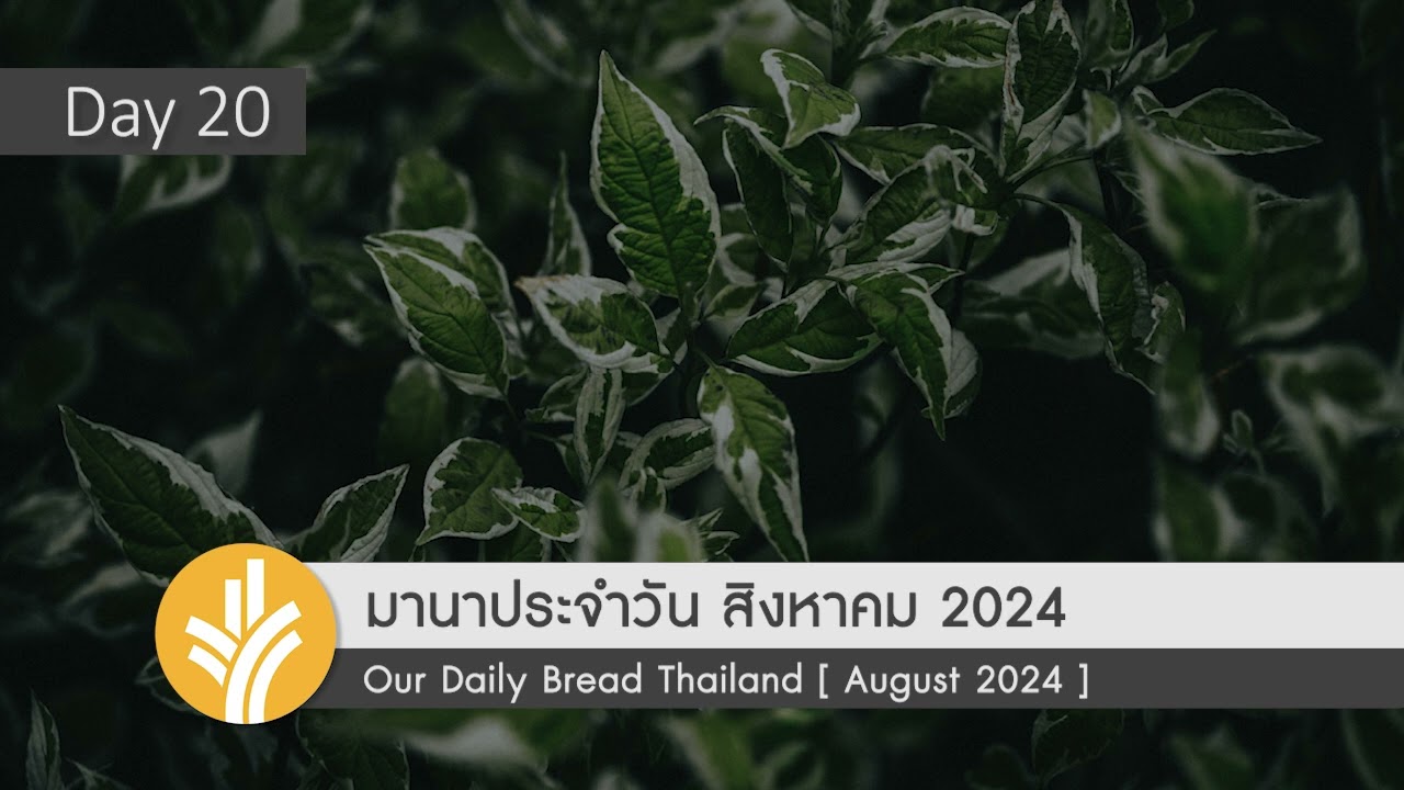 ผลกระทบที่เรามีต่อผู้อื่น / Our Impact on Others 