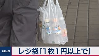 レジ袋「１枚１円以上で」　有料化明確に