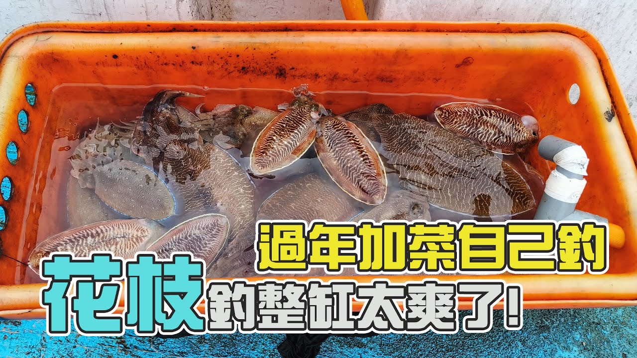 【深海船釣】深海放流釣紅甘，卻遇上這種釣魚人最害怕的魚!?