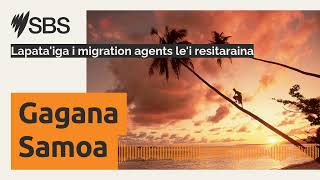 Lapata'iga i migration agents le'i resitaraina | SBS Samoan - SBS Samoan