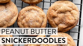 Peanut Butter Snickerdoodles | Sally's Baking