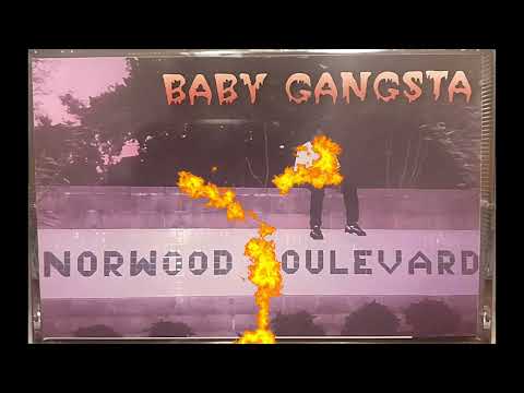 洋楽 BABY GANGSTA NORWOOD BOULEVARD g-rap BABY GANGSTA NORWOOD