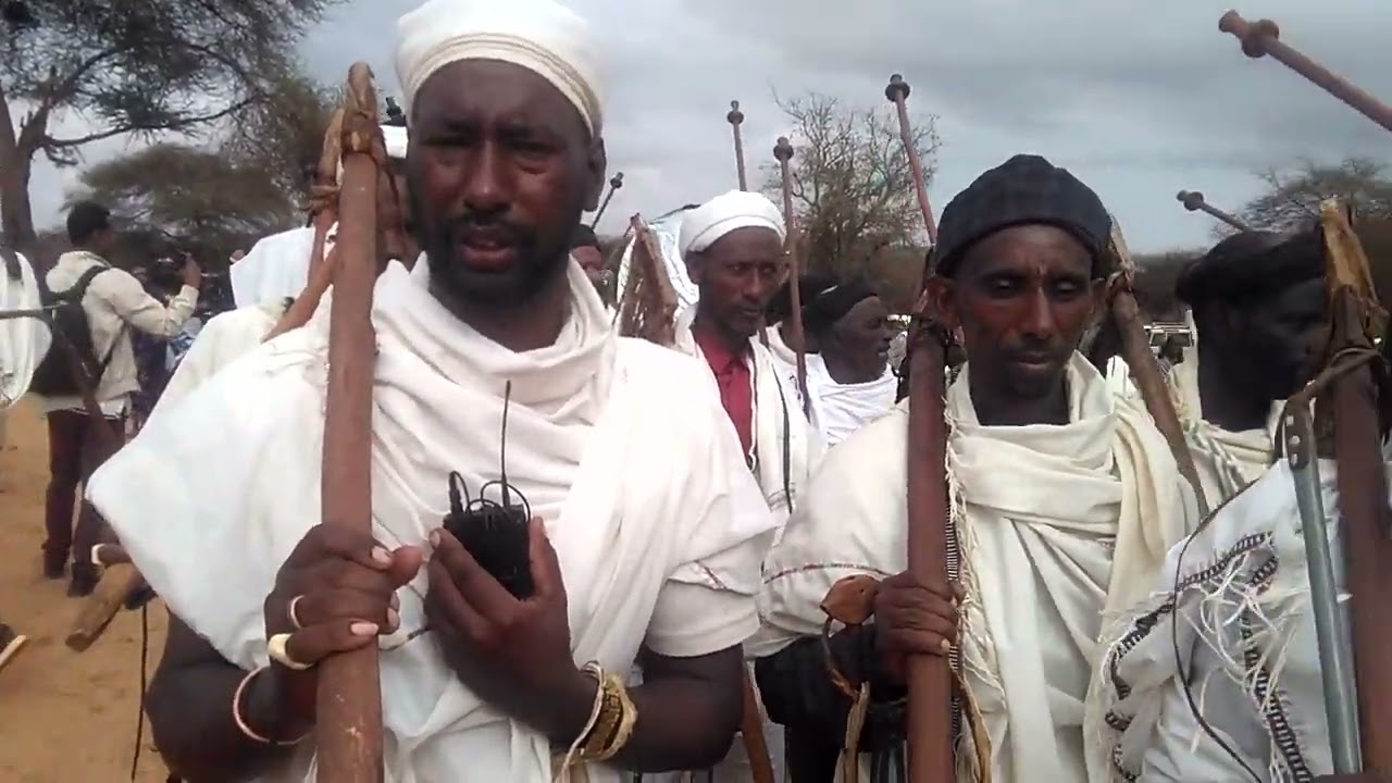 The status of Gada system at the moment in Borana Oromo from Dabballee to Gadamojjii age grade