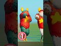 どのスキンが一番カワイイ？-ガフ編-【フォートナイト チャプター４ バトルパスエモート】 #shorts