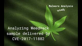 Analyzing WeedHack sample delivered by CVE-2017-11882 - Malware Analysis بالعربي