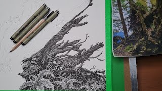 Drawing with Jon - Drawing Tree Bark in Pen & Ink | Easy Texture Techniques