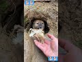 DOG FUNNY🐕🐕