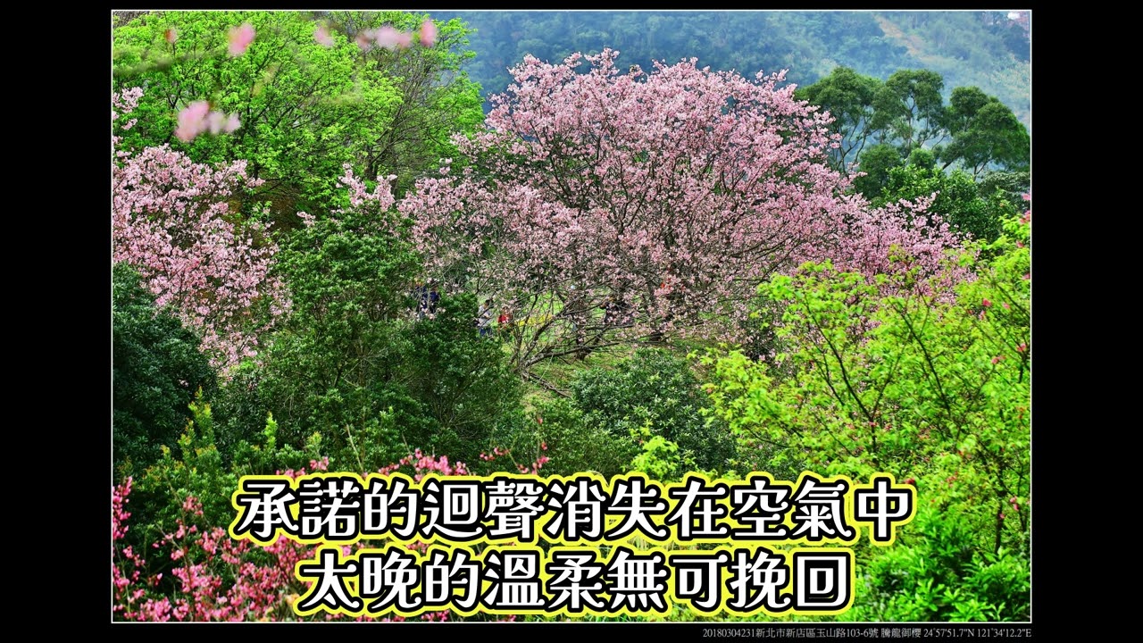 溫柔來的太遲 (新北市新店區 龍騰御櫻)