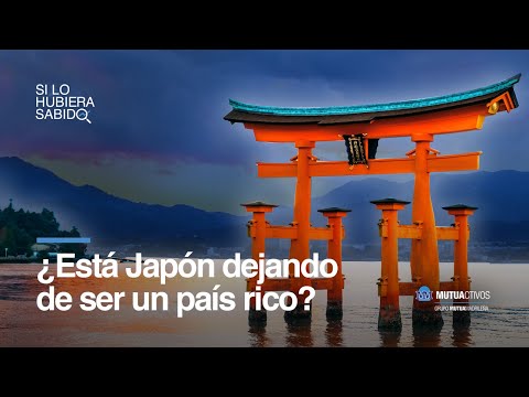 Las 4 grandes grietas económicas de Japón - Si lo hubiera sabido