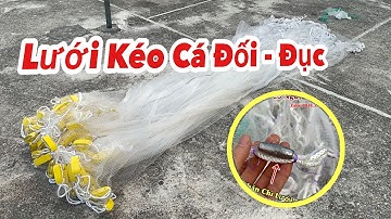 Lưới Kéo Cá Đối -Cá Đục -Lưới Cước Đúc Thái 2,5m x 50m - Mắt 2,5cm / Cước 5.0 ( Chì Chân Nguyên chất