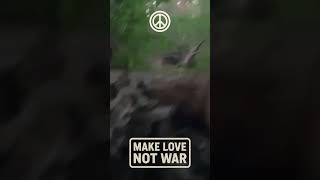 war compilation #news #update #ukraine #russia #peace #world #warzone #army #military #compilation