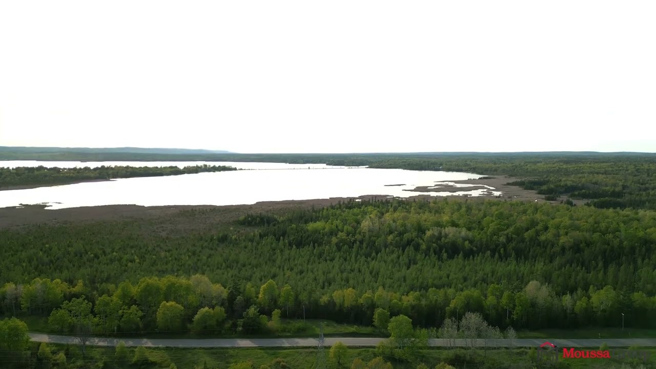 Video Image