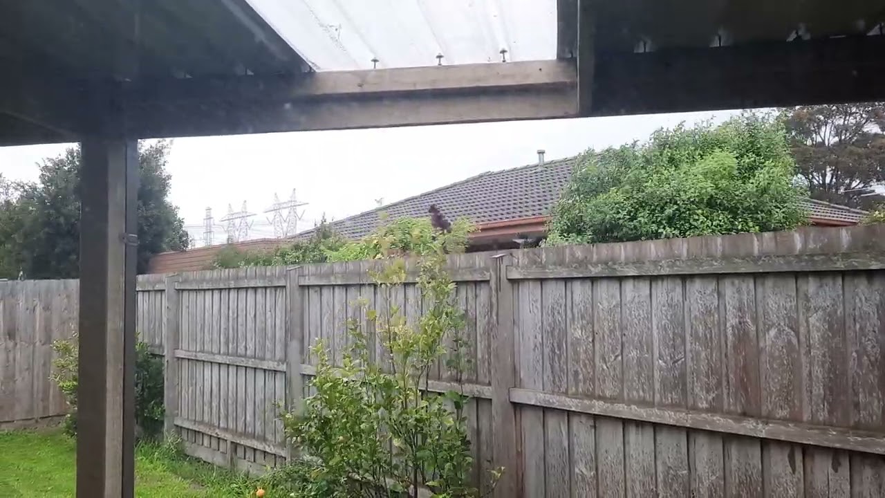 Melbourne Winds 22nd October 2025