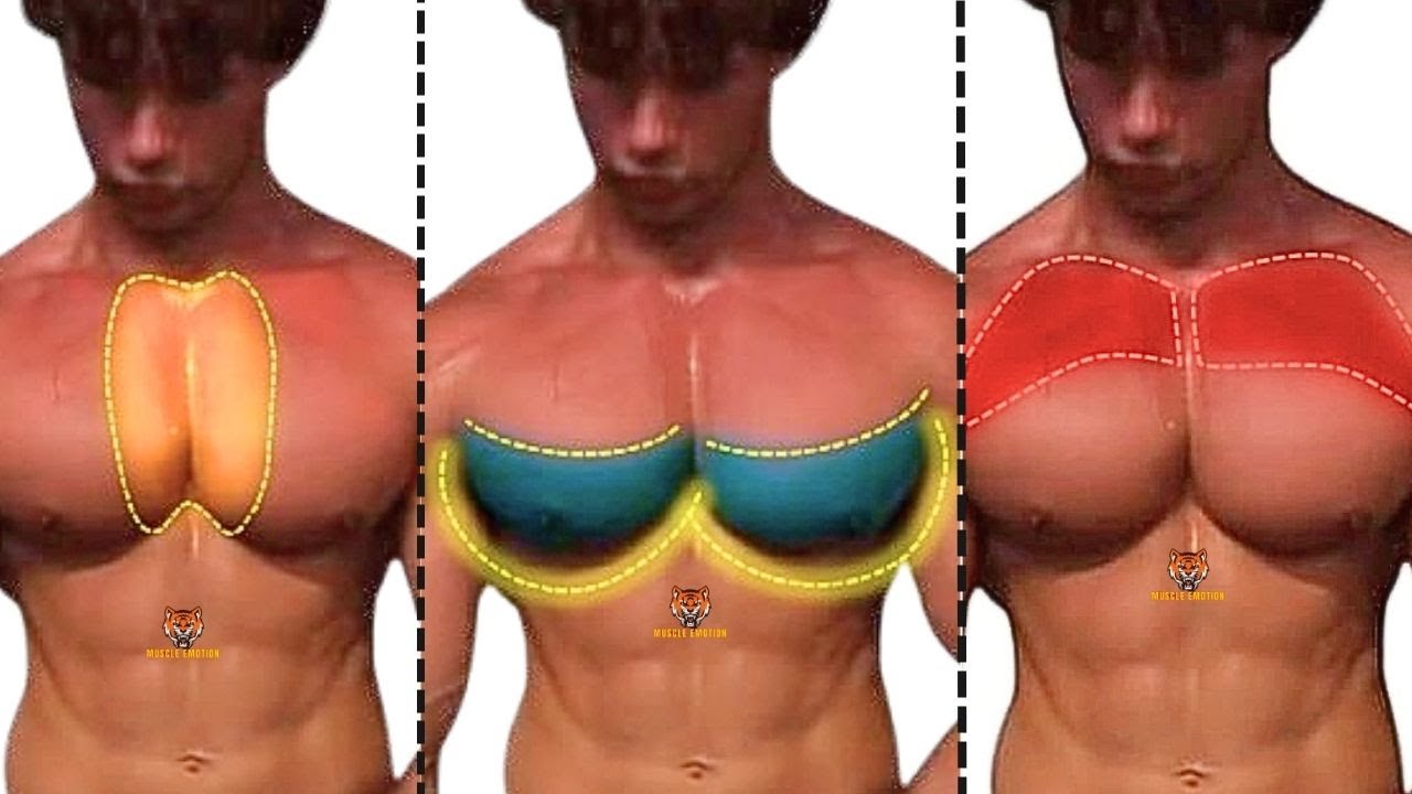 CHEST WORKOUT WITH DUMBBELLS ONLY