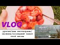 #VLOG|УРАГАН В МОСКВЕ🌩/овсянка на завтрак🍓/последний закат весны 2019🌅