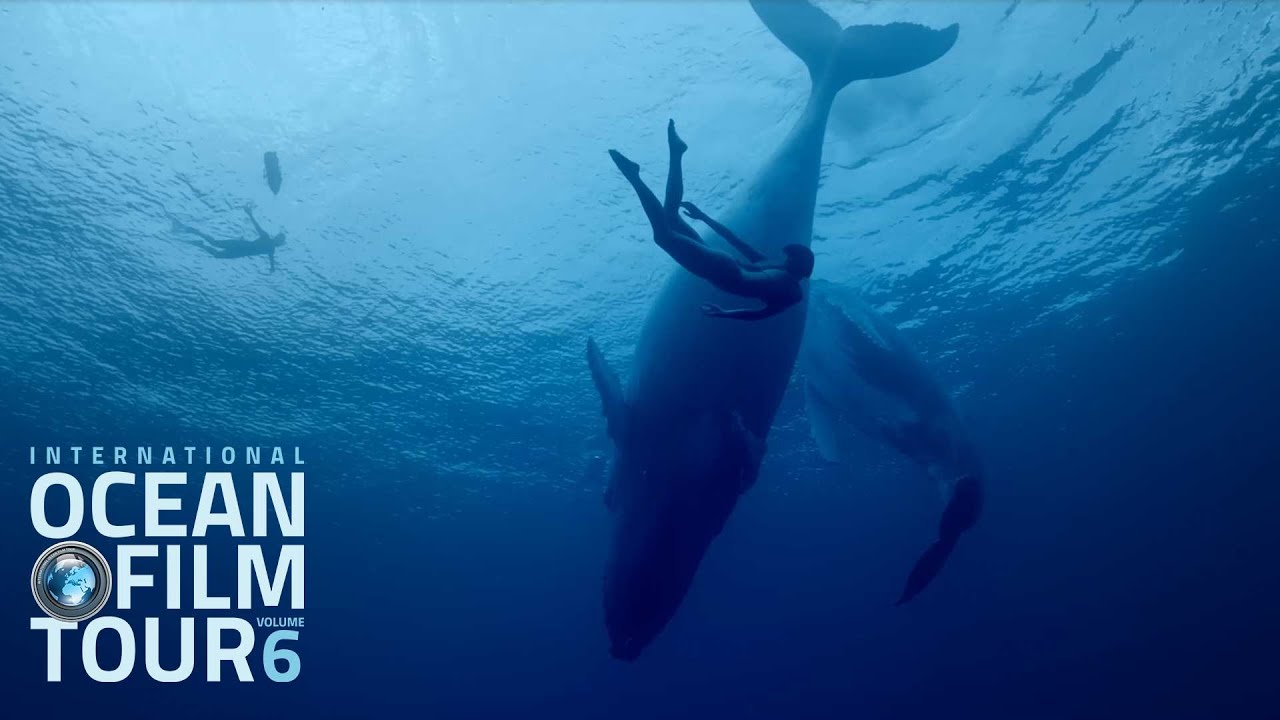 ocean film tour trailer