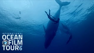 International OCEAN FILM TOUR Volume 6 | Official Trailer International OCEAN FILM TOUR Volume 6 | Official Trailer