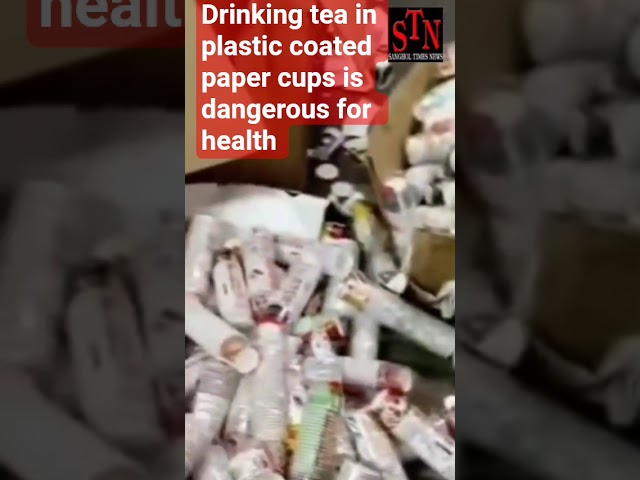 Drinking tea in plastic coated paper cups is dangerous for health 20SEP, 2025