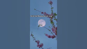 Vừa nhắm mắt vừa mở cửa sổ - Nguyễn Ngọc Thuần