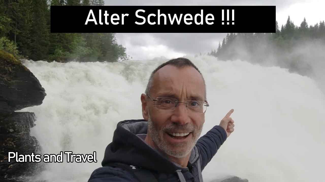 #7 Schönster Wasserfall in Schweden, muss man echt sehen