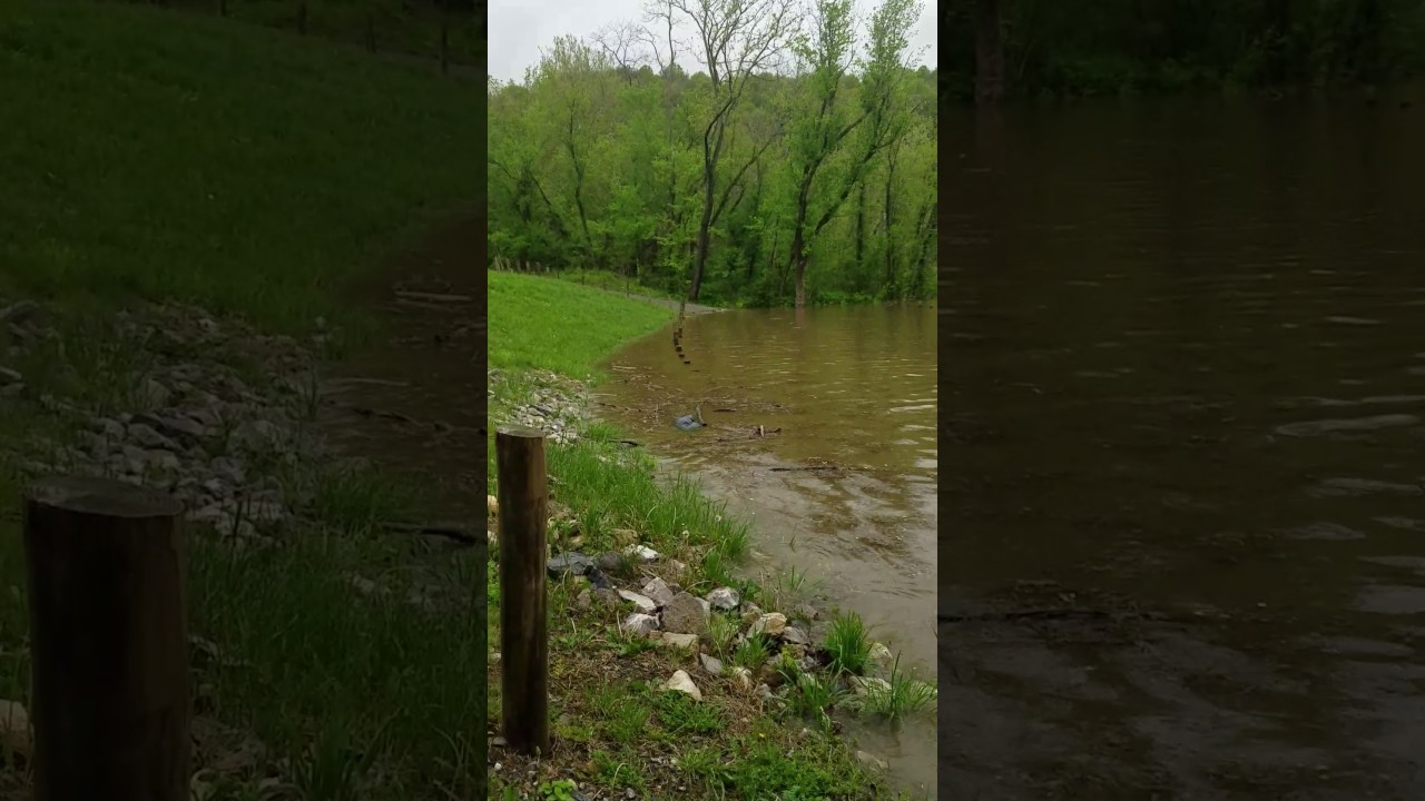 New River flooding Pearisburg, VA 4.24.2017
