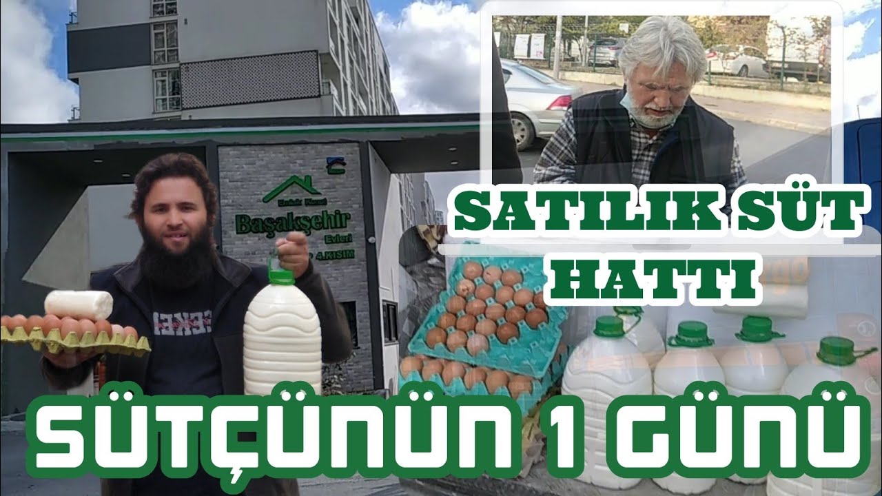 satılık süt hattı / sokak sütçüsü / tevhid kasap