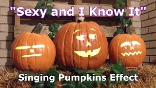 Sexy and I Know It - Singing Pumpkins Animation Effect