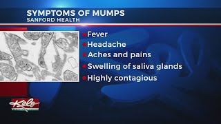 What you need to know about mumps
