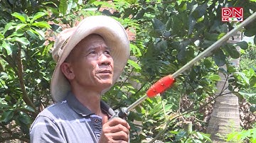 Đại hội Đại biểu các dân tộc thiểu số tỉnh Đồng Nai lần thứ III, năm 2019