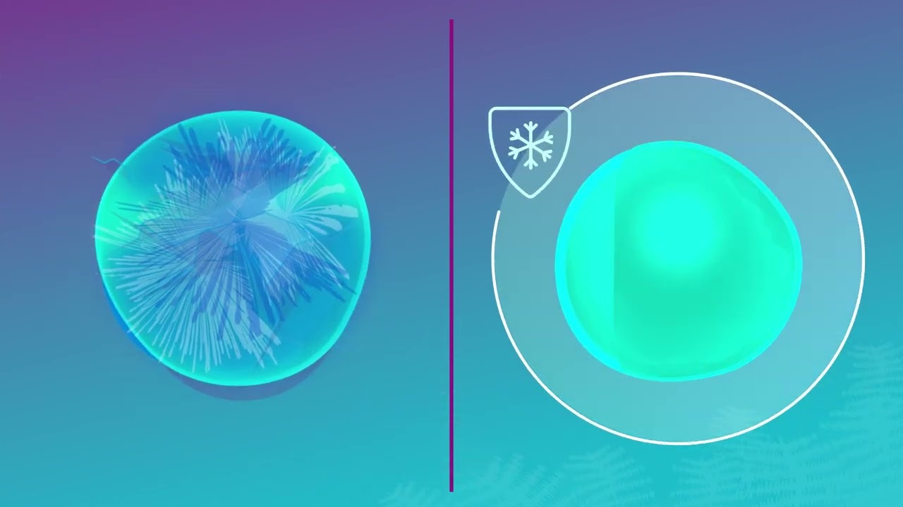 Interdisciplinary chemical approaches to understanding cryobiology