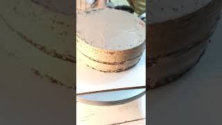 Dutch Chocolate Feather Cake