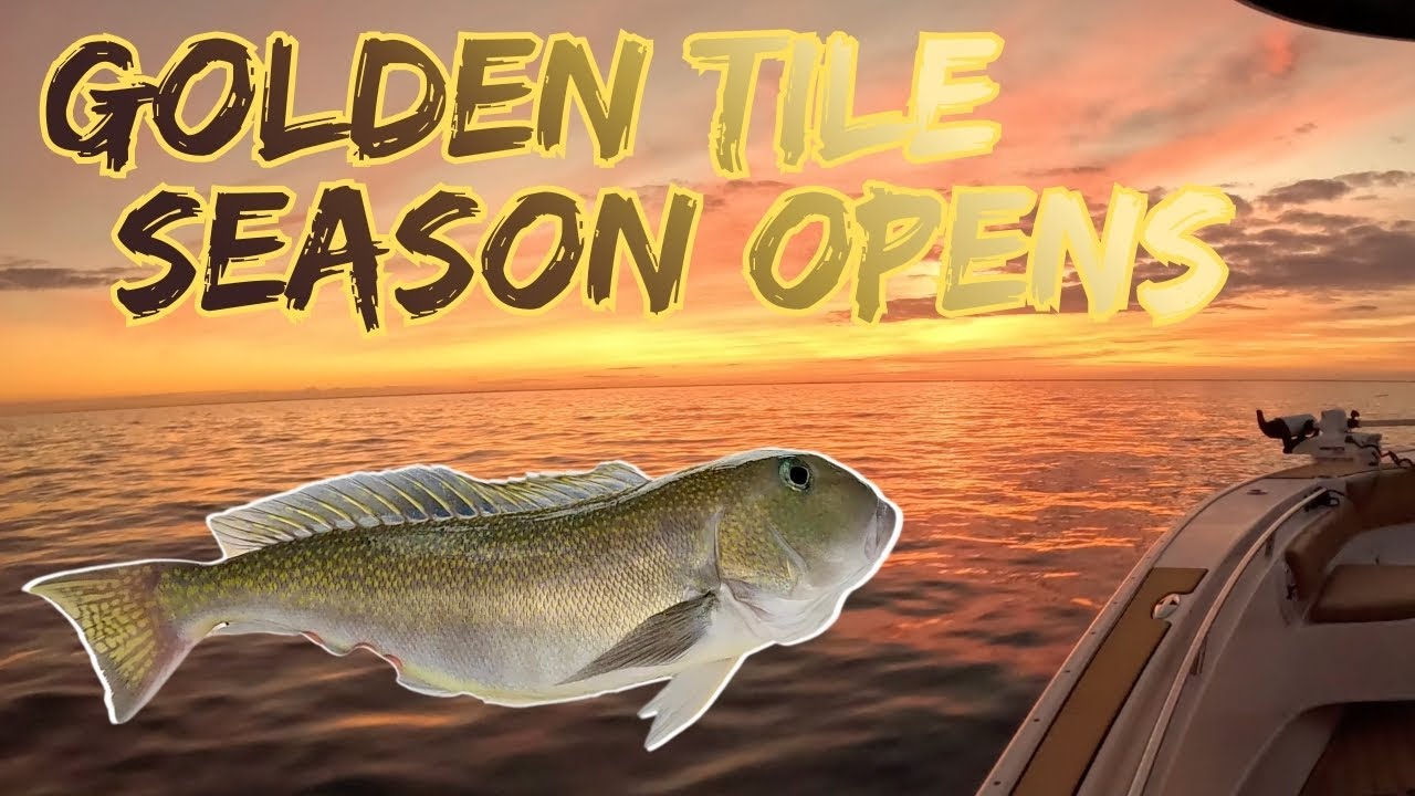 Golden Tile Season Opens - (Mahi, Tuna, Snapper Offshore Fishing)