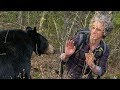 Bear Gives a Warning Bite | BBC Earth