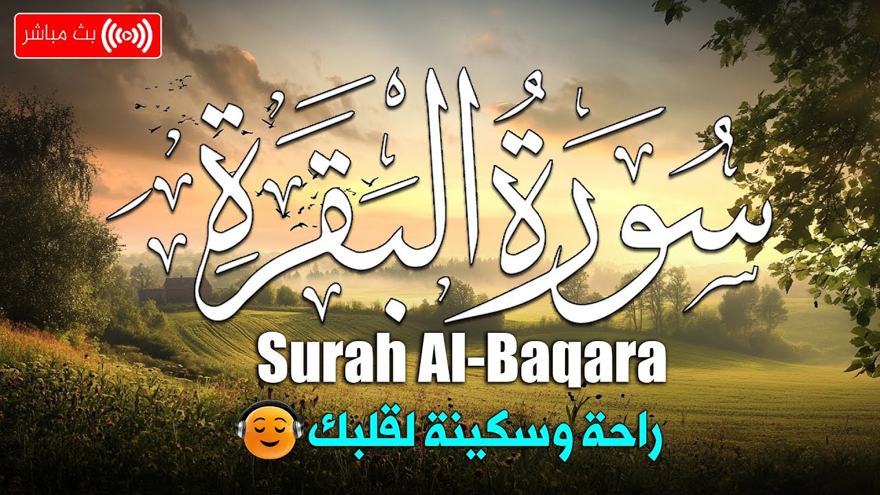 سورة البقره كامله HD قرآن كريم بصوت جميل لتحصين المنزل وجلب البركه-Surah Al- Baqara Quran Recitation