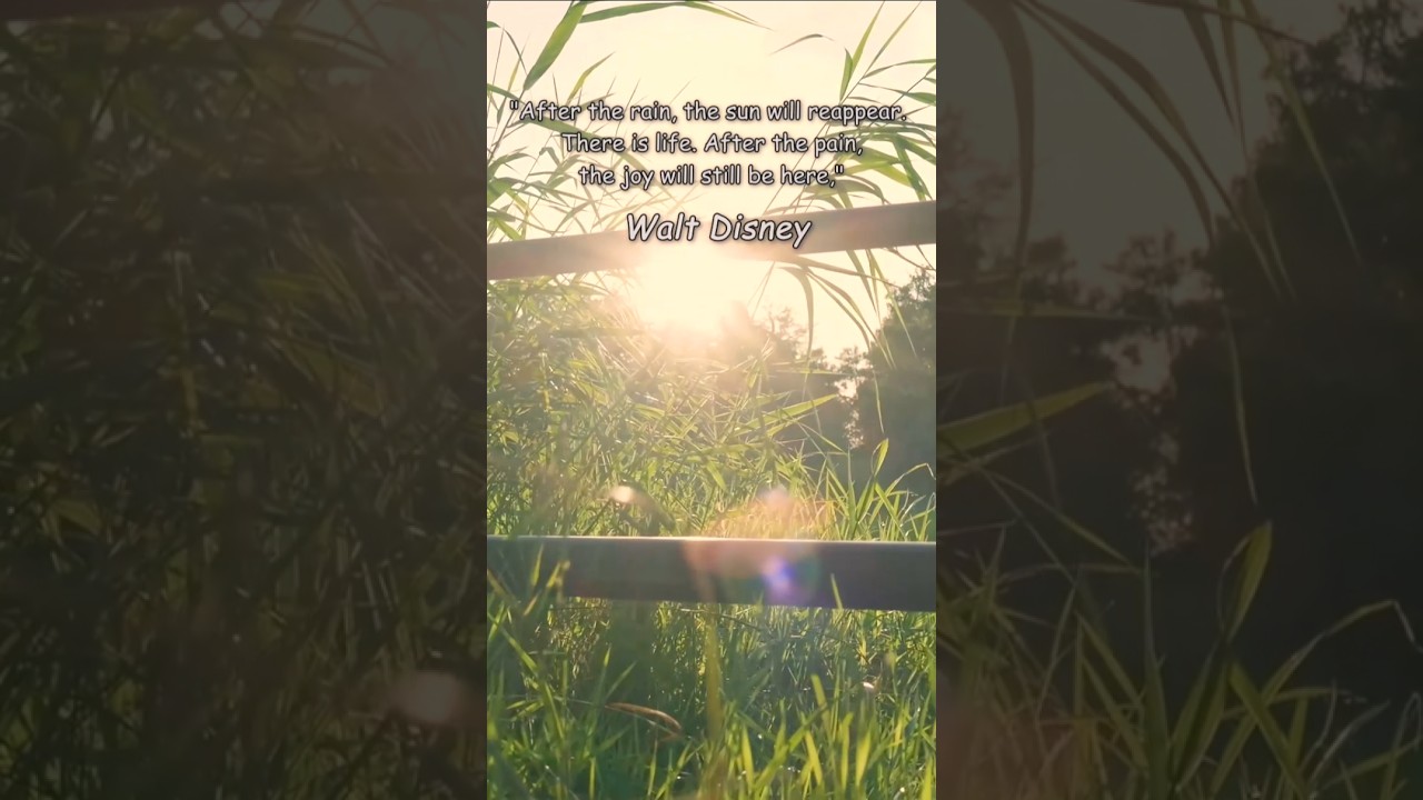 🌦️ After Rain Comes Light | Healing Through Nature 🌿☀️ 