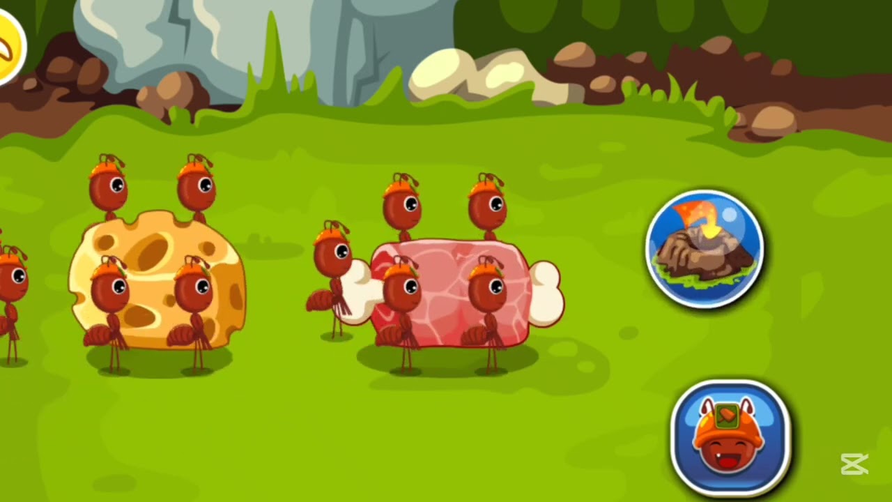 queen ant laying eggs