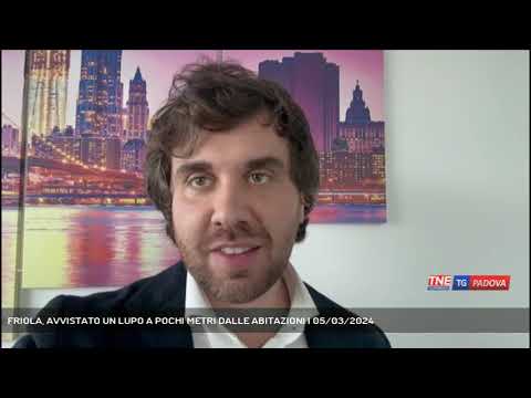 FRIOLA, AVVISTATO UN LUPO A POCHI METRI DALLE ABITAZIONI | 05/03/2024