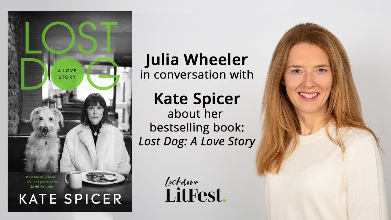 lost dog kate spicer