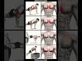 "Top 5 Chest Workouts for Maximum Strength".