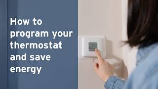 How To Program Your Thermostat And Save Energy Fortisbc