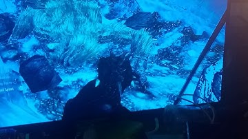 Skyrim frost troll glitch