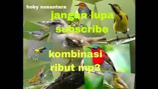 SUARA PIKAT PRINJAK RIBUT KOMBINASI BURUNG SEPAH RAJA BURUNG SOGON