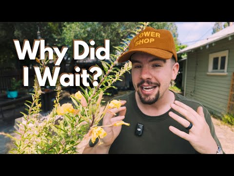 Where To Buy Cheap Garden Tools