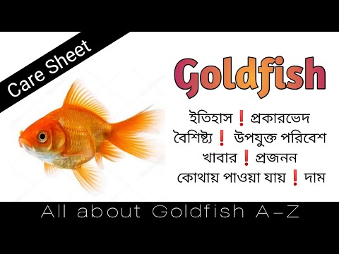 ভিডিও: Ax fish: ফটো, বর্ণনা, বৈশিষ্ট্য