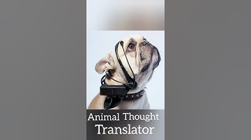 FUTURE INVENTIONS YOU NEED TO SEE IN 2021|Coolest Gadgets & Inventions That Will Blow Your Mind 2021