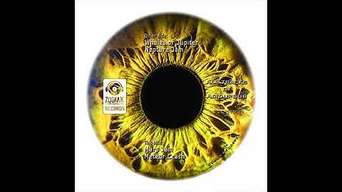 ZC019 - Yellow Eye EP - Acidupdub - Neptune Jam - Zodiak Commune Records